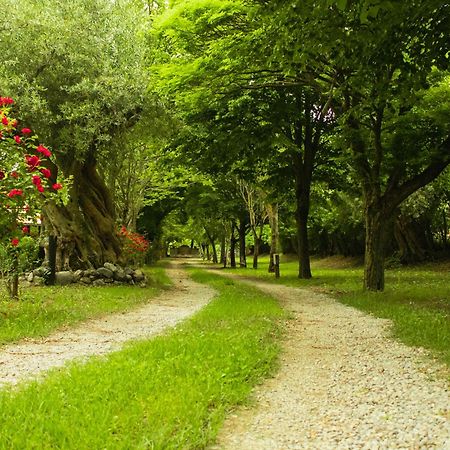 Вилла Ciclopark Морано-Калабро Экстерьер фото