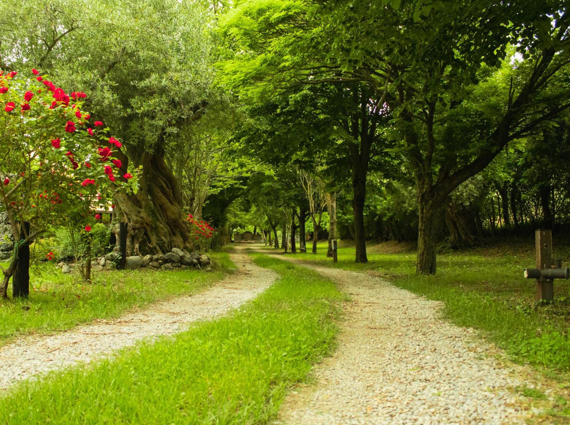 Вилла Ciclopark Морано-Калабро Экстерьер фото
